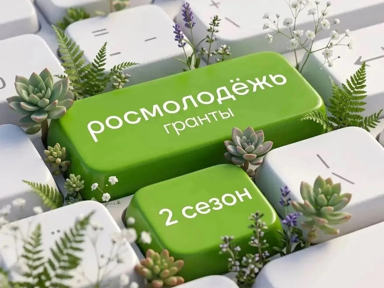 КТО ЗА ГРАНТАМИ? .