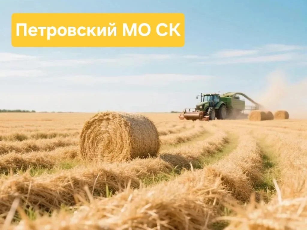 Параллельно с уборкой зерновых идет заготовка кормов.