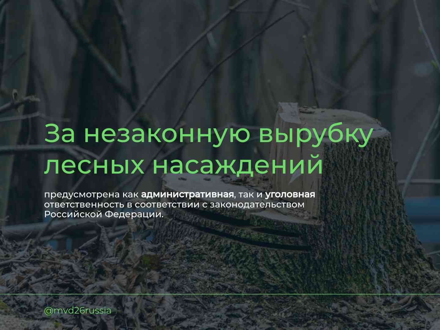 Какая ответственность предусмотрена законодательством за незаконную рубку лесных насаждений?.