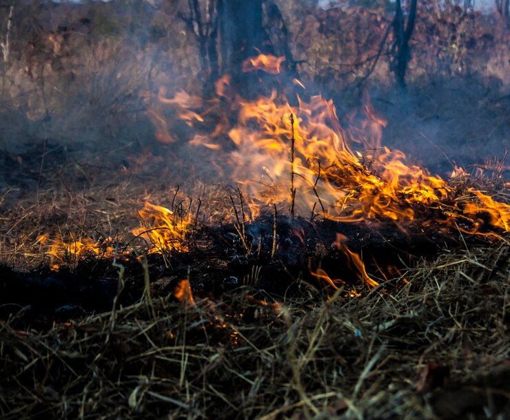 На Ставрополье участились случаи выжигания сухой травяной растительности, стерни и пожнивных остатков на сельхозугодьях.